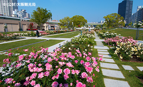 中之島公園